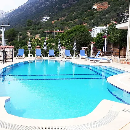 Apartmanhotel Asoa / 3*