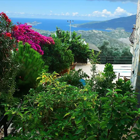 Asoa / Kalkan