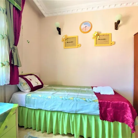 Aparthotel Asoa / 3*