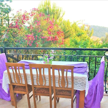 Asoa / 3* Kalkan