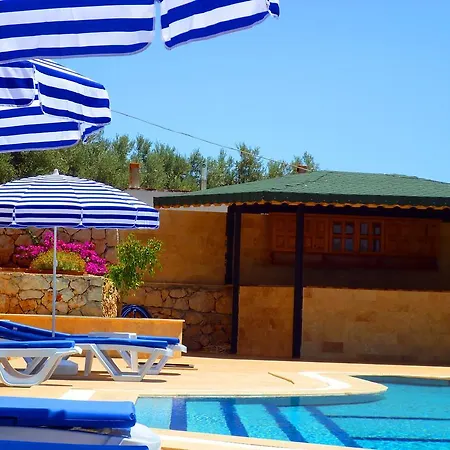 Aparthotel Asoa / 3*